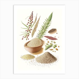 Sesame Seeds Spices And Herbs Pencil Illustration 4 Art Print