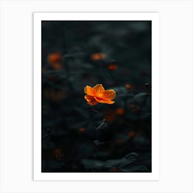 Flower In The Dark 10 Art Print