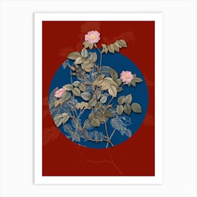 Vintage Botanical Sweetbriar Rose on Circle Blue on Red n.0094 Art Print