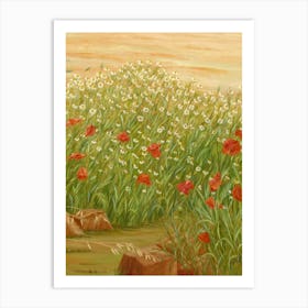 Daisies And Poppies Art Print