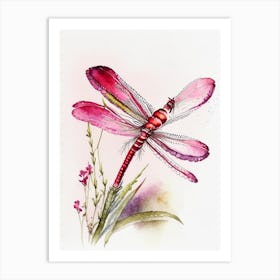 Smoky Rubyspot Dragonfly Watercolour Ink Pencil 1 Art Print