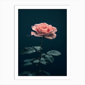 Pink Rose On Dark Background 3 Art Print