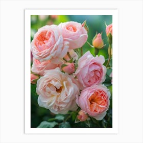 English Roses Painting Rose In A Pocket 4 Art Print