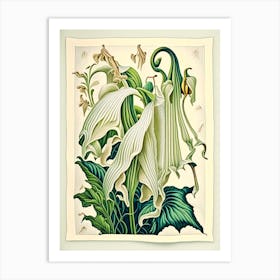 Angel'S Trumpet 1 Floral Botanical Vintage Poster Flower Art Print
