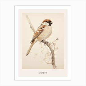 Vintage Bird Drawing Sparrow 3 Poster Art Print