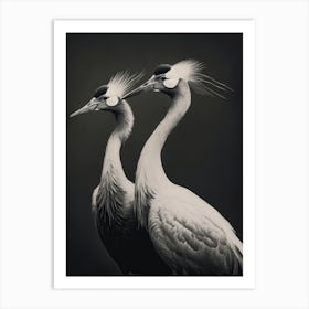 Cranes Monocrome Art Print
