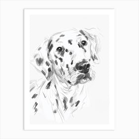 Dalmation Dog Charcoal Line 2 Art Print