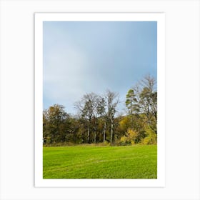 Bare Trees In A Field Art Print