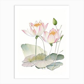 Lotus Flowers In Garden Pencil Illustration 2 Art Print