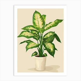 Dieffenbachia Plant Minimalist Illustration 8 Art Print