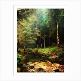 Forest In The Sun Art Print