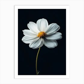 White Daisy 8 Art Print