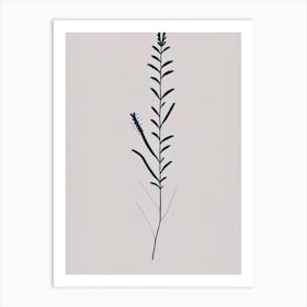 Obedient Plant Wildflower Simplicity Art Print