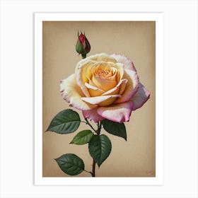 Rose flowers Art Print