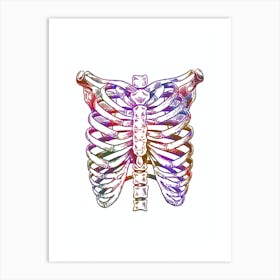 Chest Anatomy Black And White 1 Art Print