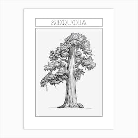 Sequoia Tree Minimalistic Drawing 2 Poster Art Print