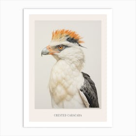 Vintage Bird Drawing Crested Caracara 1 Poster Art Print