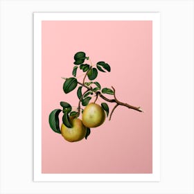 Vintage Pear Botanical on Soft Pink n.0946 Art Print