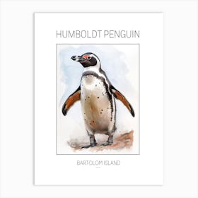 Humboldt Penguin Bartolom Island Watercolour Painting 2 Poster Art Print
