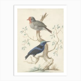 Two Birds Perched On A Branch 1 Art Print