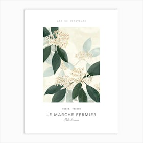 Elderberries Le Marche Fermier Poster 1 Art Print