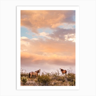 Arizona Wild Horses At Sunset Art Print