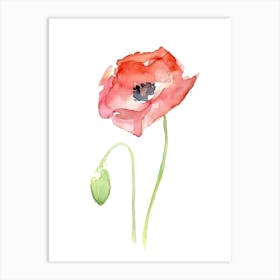 Watercolor Poppy 1 Art Print