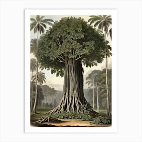 Baobab Tree Art Print