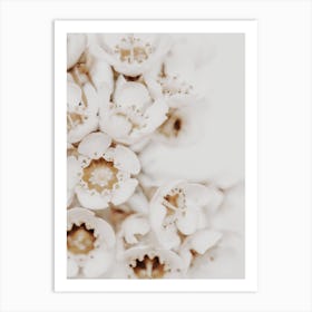 White Flower 2 Art Print