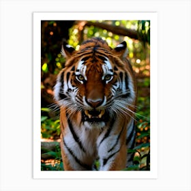 Tiger Stock Videos & Royalty-Free Footage Art Print