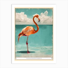 Greater Flamingo Yucatan Peninsula Mexico Tropical Illustration 2 Poster Art Print