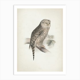 Vintage Lear 2 Ural Owl Art Print