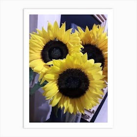 3 Sunflowers Art Print