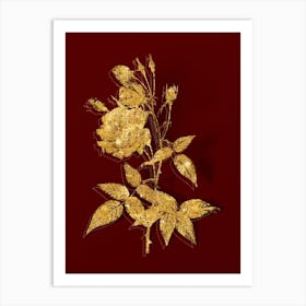 Vintage Common Rose of India Botanical in Gold on Red n.0525 Art Print