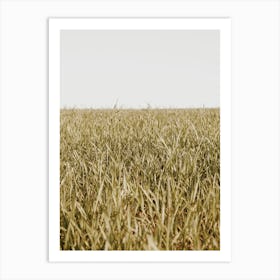 Grassy Spring Meadow Art Print