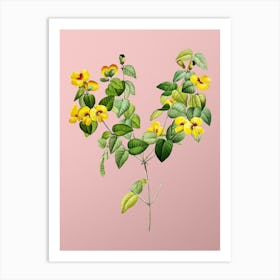 Vintage Platilobium Botanical on Soft Pink n.0859 Art Print