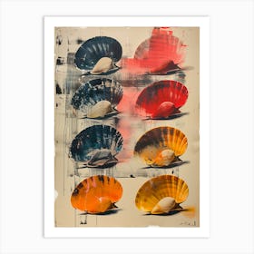 Shells 4 Art Print