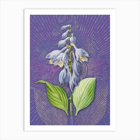 Vintage Blue Daylily Botanical Illustration on Veri Peri Art Print