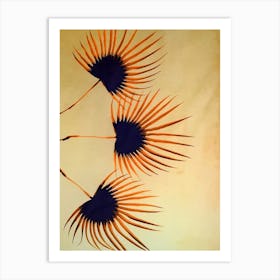 Orange fan palm Art Print