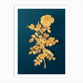 Vintage Macartney Rose Botanical in Gold on Teal Blue Art Print