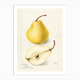 Pears 10 Art Print