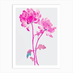 Hot Pink Chrysanthemum 1 Art Print
