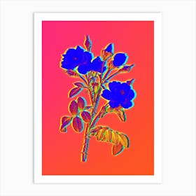 Neon White Rose Botanical in Hot Pink and Electric Blue n.0203 Art Print
