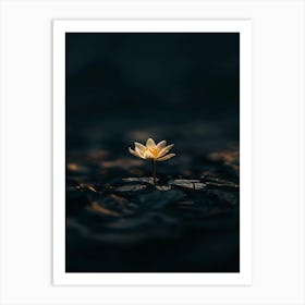 Lotus Flower 54 Art Print