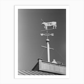 Weather Vane With Old Cattle Brand Belonging To Dan Houston, An Early Settler Of Gonzales County, Gonzales Art Print