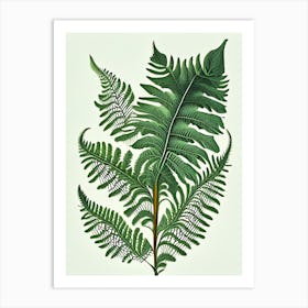 Japanese Tassel Fern Vintage Botanical Poster Art Print