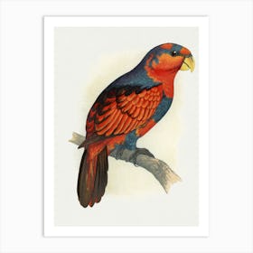 King Parrot 2 Art Print