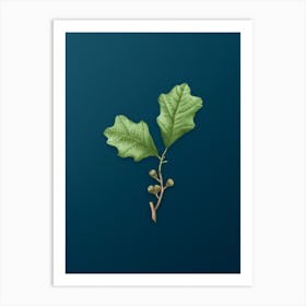 Vintage Bear Oak Leaves Botanical Art on Teal Blue Art Print