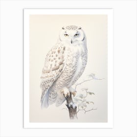 Vintage Bird Drawing Snowy Owl 2 Art Print