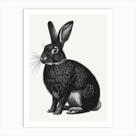 Blanc De Hotot Blockprint Rabbit Illustration 5 Art Print